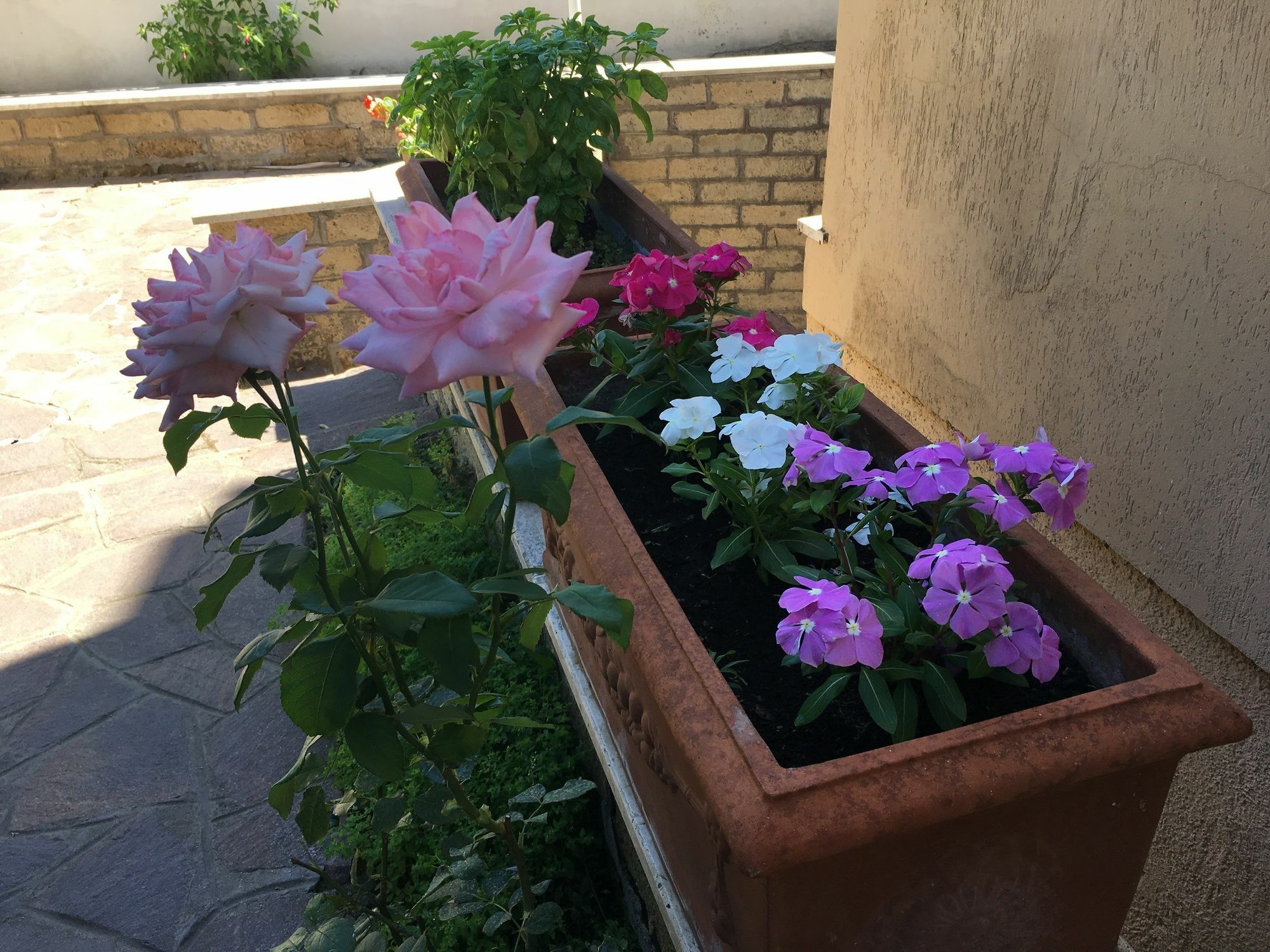 רומא Green House מראה חיצוני תמונה